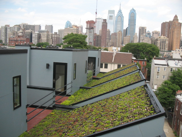 Vegetative Roof Installation:
